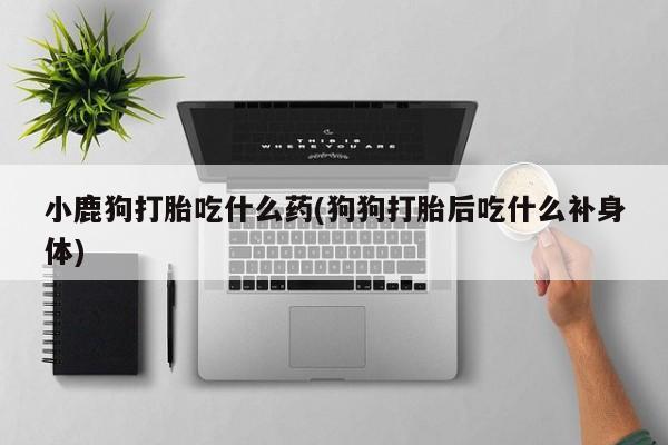 售米非司酮片 包邮小鹿狗打胎吃什么药(狗狗打胎后吃什么补身体)