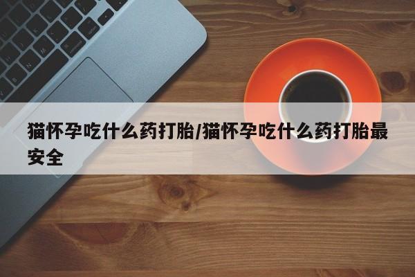售米非司酮片 包邮猫怀孕吃什么药打胎/猫怀孕吃什么药打胎最安全