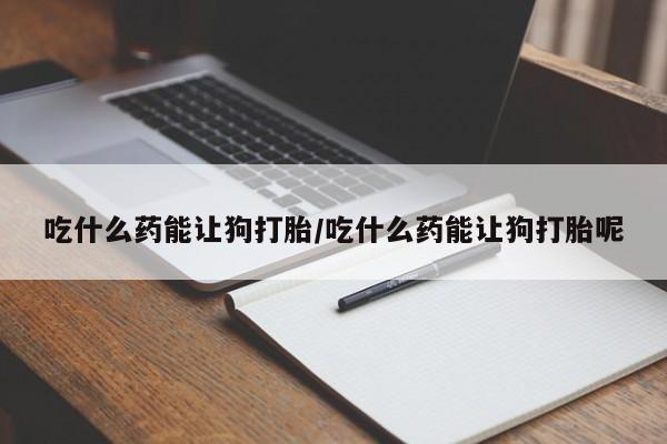 售米非司酮片 包邮吃什么药能让狗打胎/吃什么药能让狗打胎呢