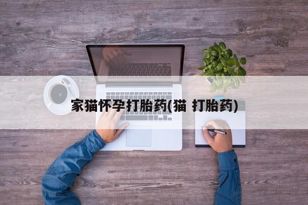 售米非司酮片 包邮家猫怀孕打胎药(猫 打胎药)