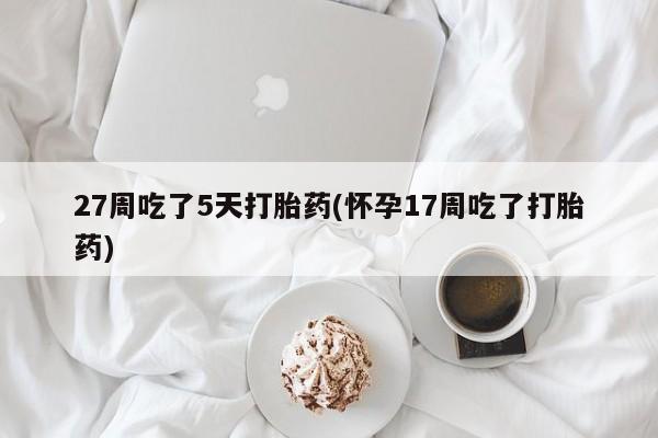 售米非司酮片 包邮27周吃了5天打胎药(怀孕17周吃了打胎药)
